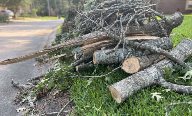 Yard and debris pick up