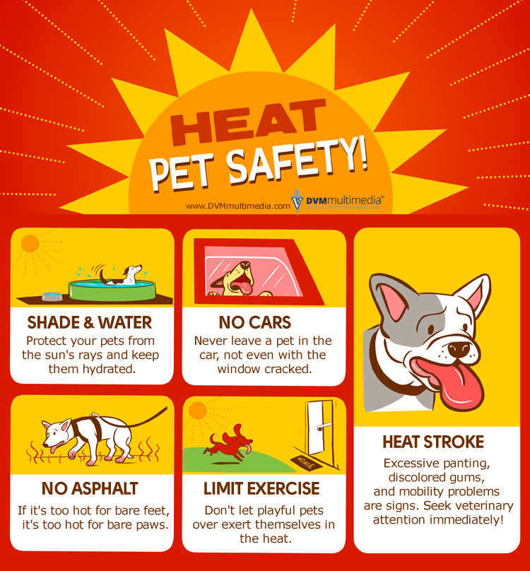 Heat-safety for Pets!